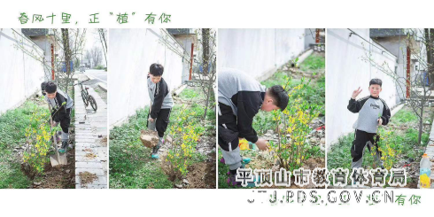 拥抱春天，呵护绿色--舞钢一小植树节主题活动624.png